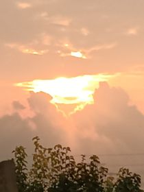 特種兵之火鳳凰雷葉（重生）