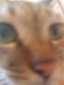 书名不修改