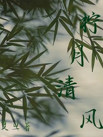 柠月清风