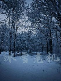 爆兽猎人：冰雪危机（前传）-d309