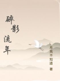 碎影流年