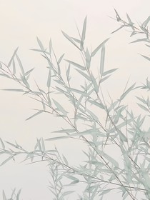 时代少年团：民国风情