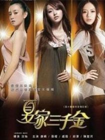 夏家三千金之爱情故事生活-d986