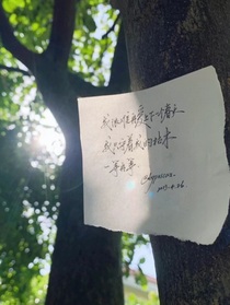 五千天