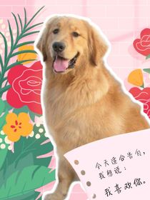 我與釋寶那些事