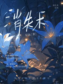 消失术