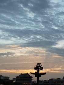 规则的循环