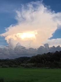厌笙