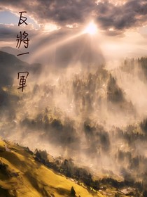 反将一军