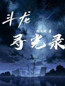 斗龙：寻光录