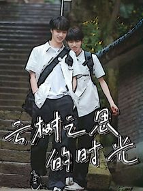 云树之思的时光