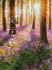 風(fēng)信子與桔梗花