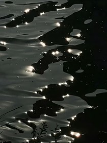 毒粹