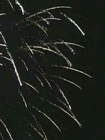 真假的你