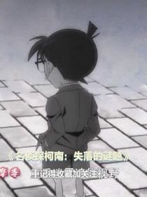 名侦探柯南：失落的谜题