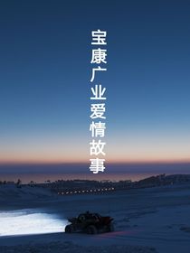 宝康广业的爱情故事