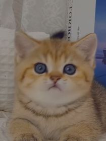 平凡的世界讀后感哦