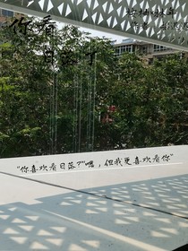 你看日落了——d339
