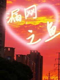 漏網(wǎng)之魚(yú)zyh