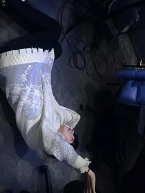 TNT：不同价值的郁金香