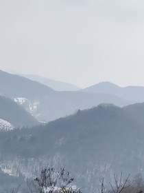 情歌两三首，梦回少年时