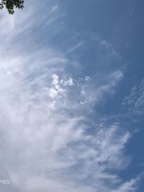 斗龙：天命华章