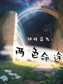 神快盗九：两色命途