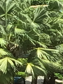 叶罗丽：音与水的交契