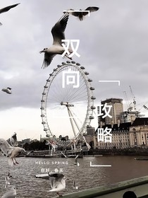 雙向攻略