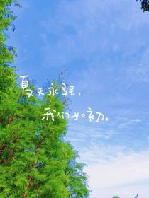 夏梦间事