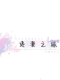 （追妻之旅）
