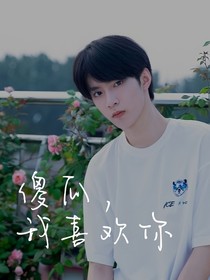 刘耀文：傻瓜我喜欢你-d437