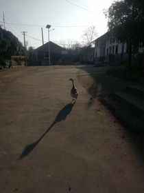 梦：我的潜意识