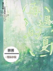 再遇的夏