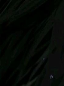 虚慕