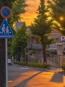 夕阳有几分姿态