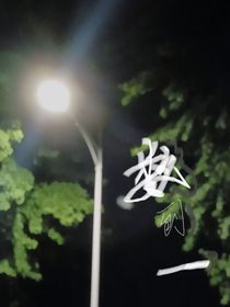 数到一