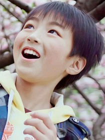 不知名平行线