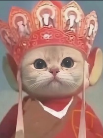 治愈你的生活吧