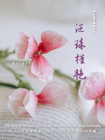 战斗王之飓风战魂：沤珠槿艳