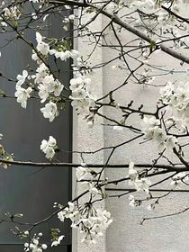 会遇你