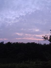 摘一片青枫叶