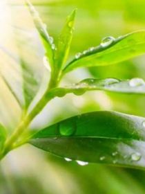 综影视：为什么还不解封