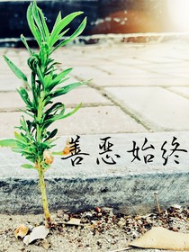 善恶始终