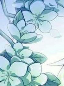 這屆修真界看似平平無奇