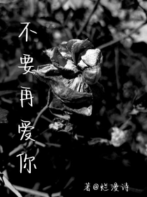 不要再爱你