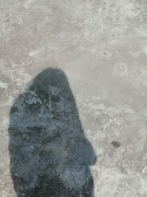 喜欢不是件小事