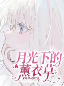 月光下的薰衣草