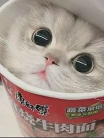 倆相遇的咸菜