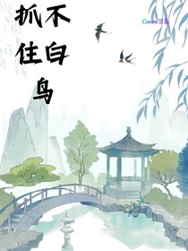 抓不住白鸟